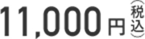11,000円（税込）